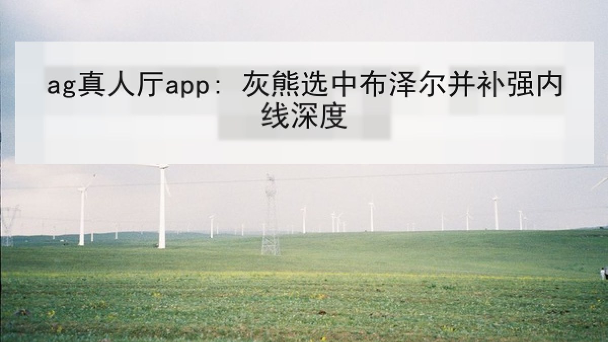 ag真人厅app: 灰熊选中布泽尔并补强内线深度